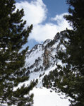 Pinos nevados en Baqueira